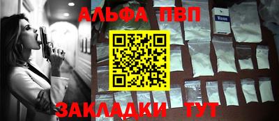 PSILOCYBIN Гатчина