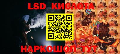 PSILOCYBIN Гатчина