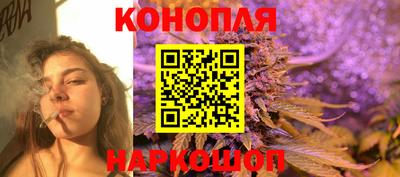 прущие крисы Гай