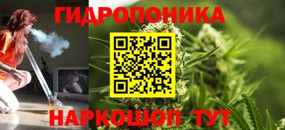 прущие крисы Гай