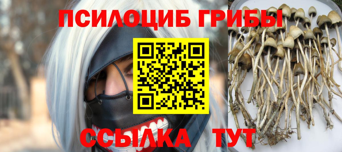Ижевск  Галлюциногенные грибы мухоморы  Псилоцибиновые грибы Magic Shrooms  Вход с VPN 